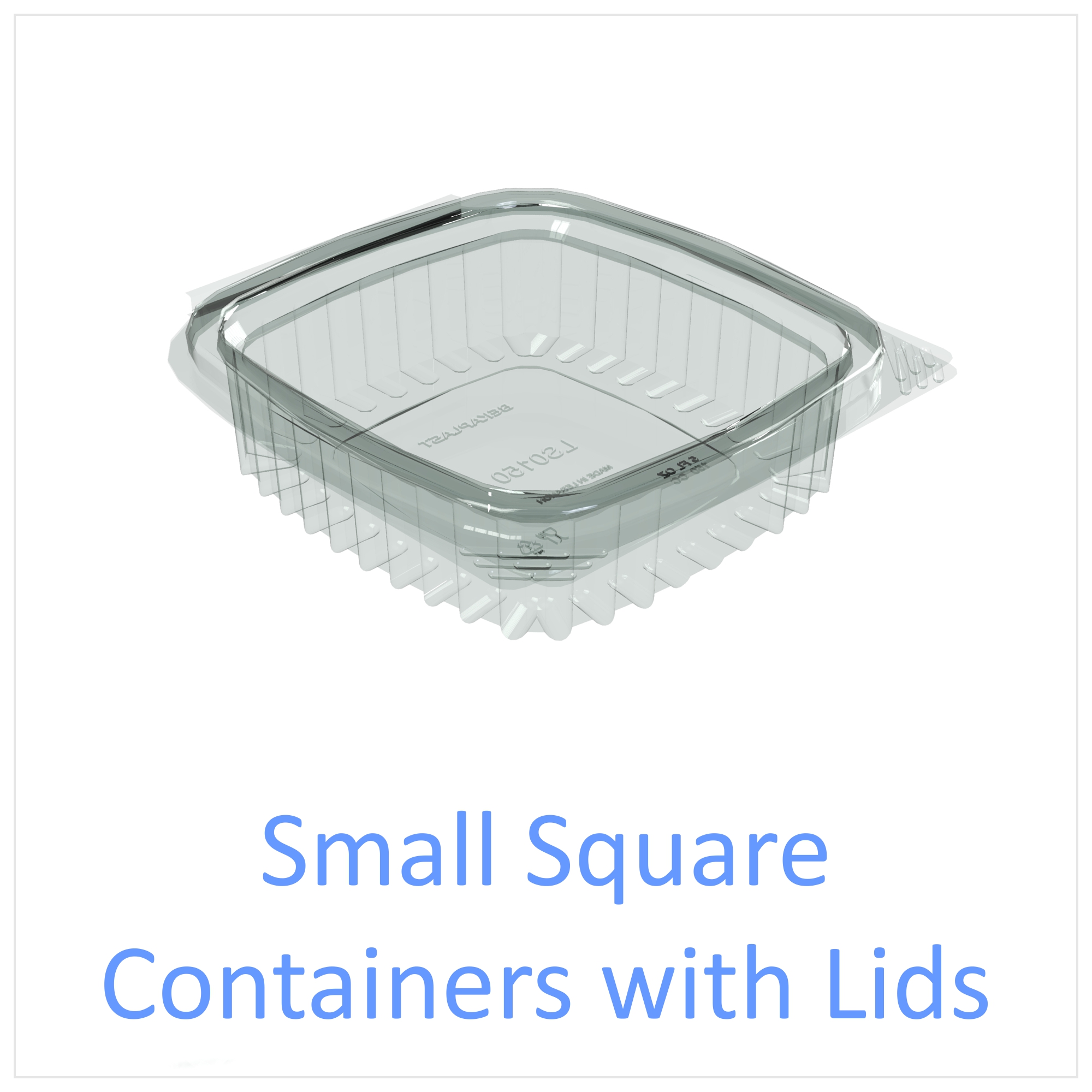 Small Square Containers with Lids