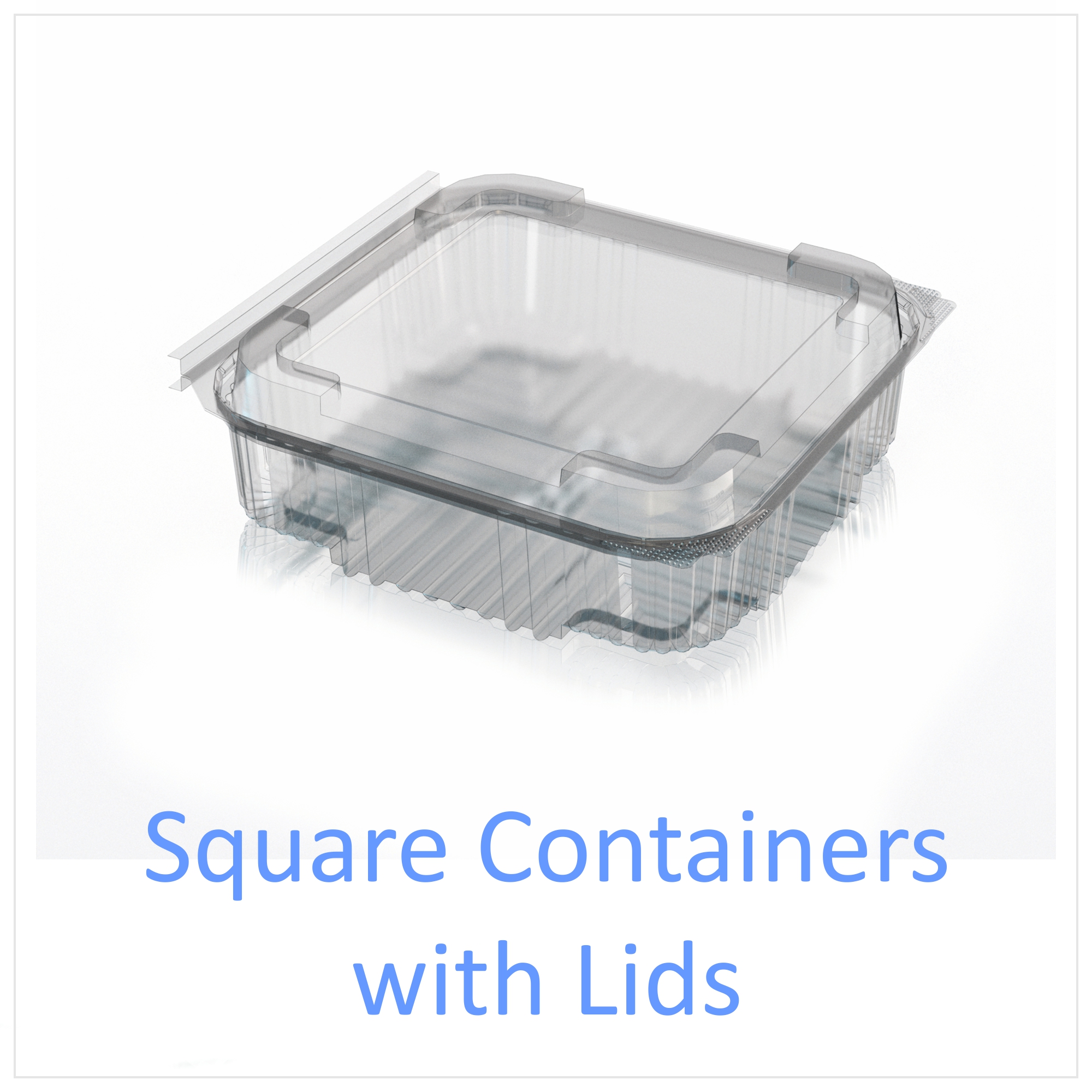 Square Containers with Lids